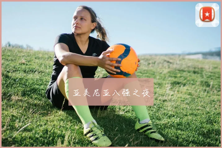 亚美尼亚八强之夜