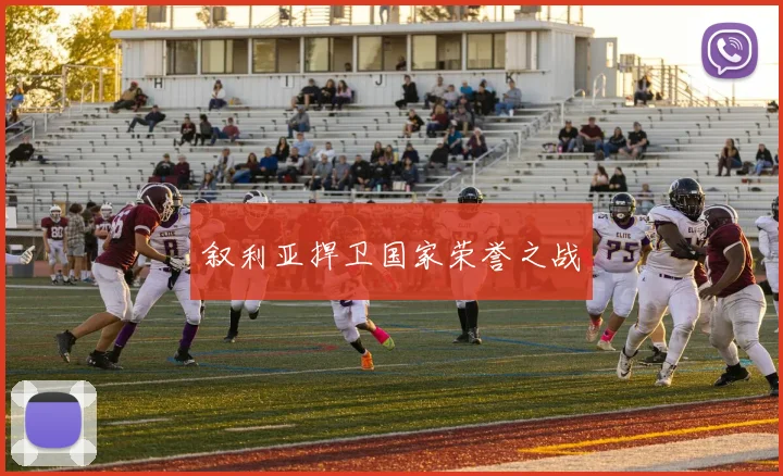 叙利亚捍卫国家荣誉之战
