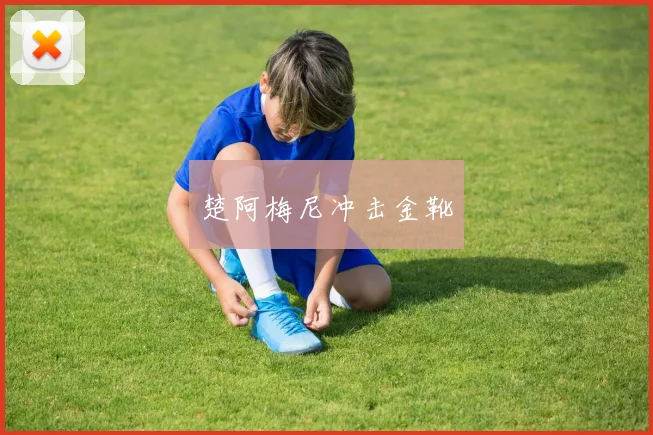楚阿梅尼冲击金靴