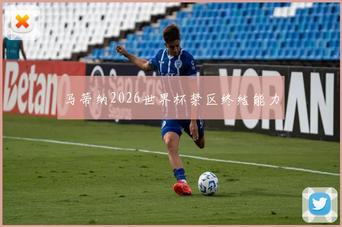 马蒂纳2026世界杯禁区终结能力