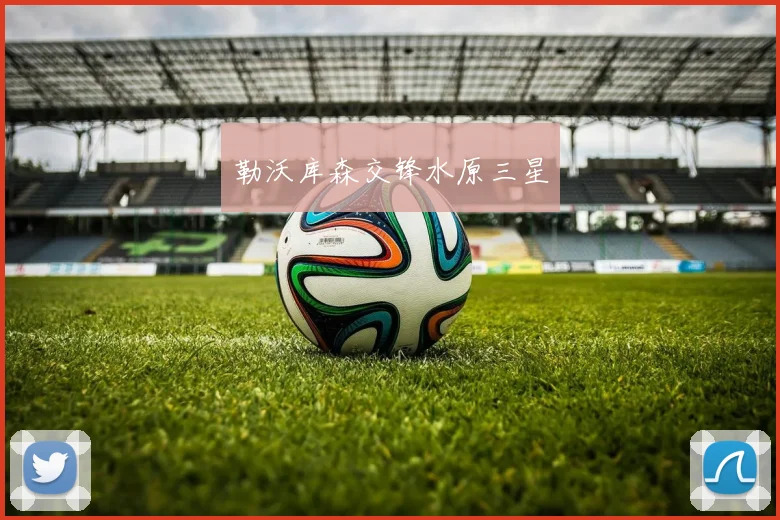 勒沃库森交锋水原三星
