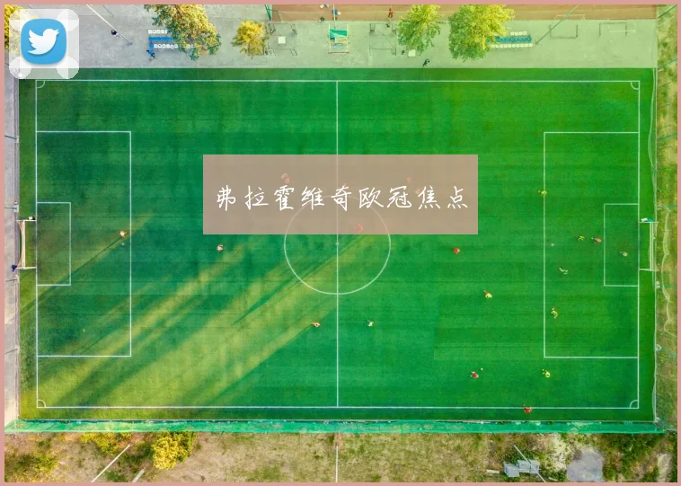 弗拉霍维奇欧冠焦点