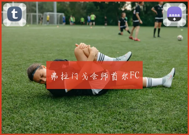 弗拉门戈会师首尔FC
