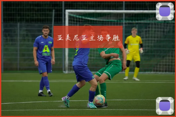 亚美尼亚主场争胜