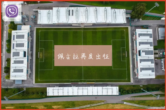 佩古拉再度出征