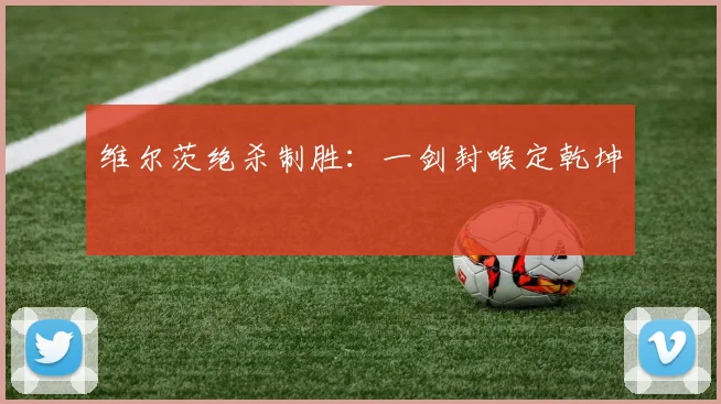 维尔茨绝杀制胜：一剑封喉定乾坤