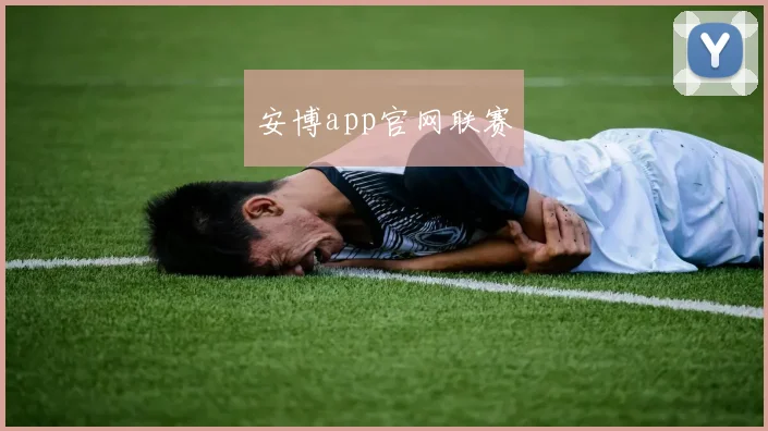 安博app官网联赛