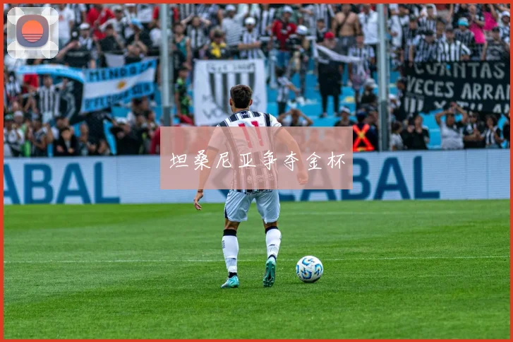 坦桑尼亚争夺金杯
