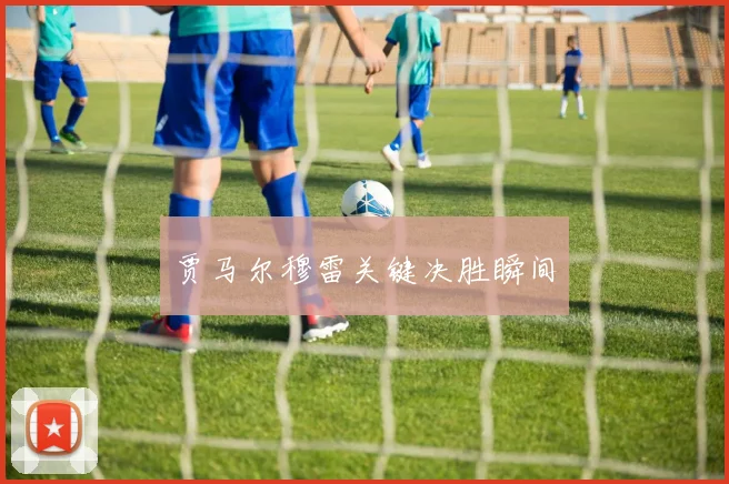 贾马尔穆雷关键决胜瞬间